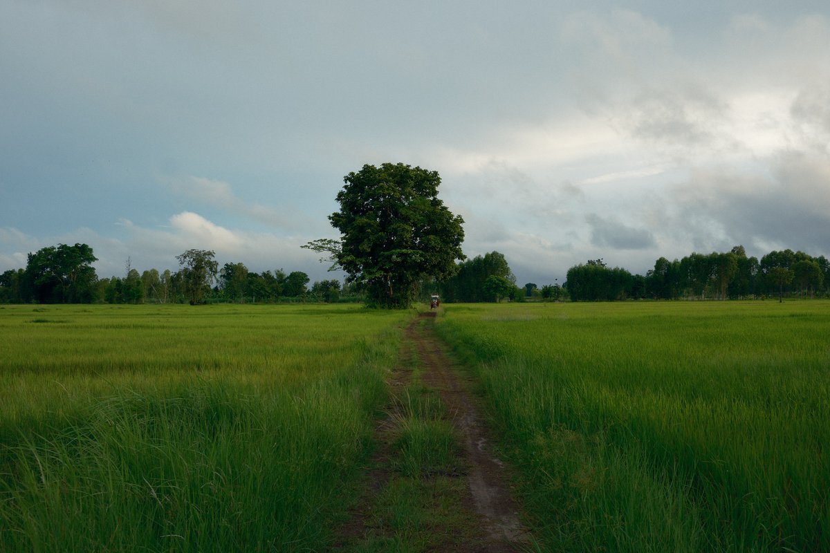 SuperiorProfit's tweet photo. Trading profitably is not an end in itself for me. It is a means to be free from endless compulsions. To slow down and soak in the beautiful life unfolding around me every day.

https://t.co/8S3IbiOqiy https://t.co/chR79Us4aJ