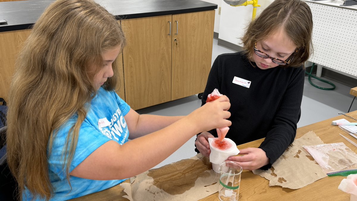NWTC's tweet photo. We welcomed @YWCAGREENBAY TechGYRLS to #NWTC to explore engineering and science through interactive #STEM activities, like wiring and extracting DNA from strawberries.

Thank you to the #YWCATechGYRLS for bringing your curiosity, enthusiasm, and willingness to try something new! https://t.co/7cmSZ04hwA