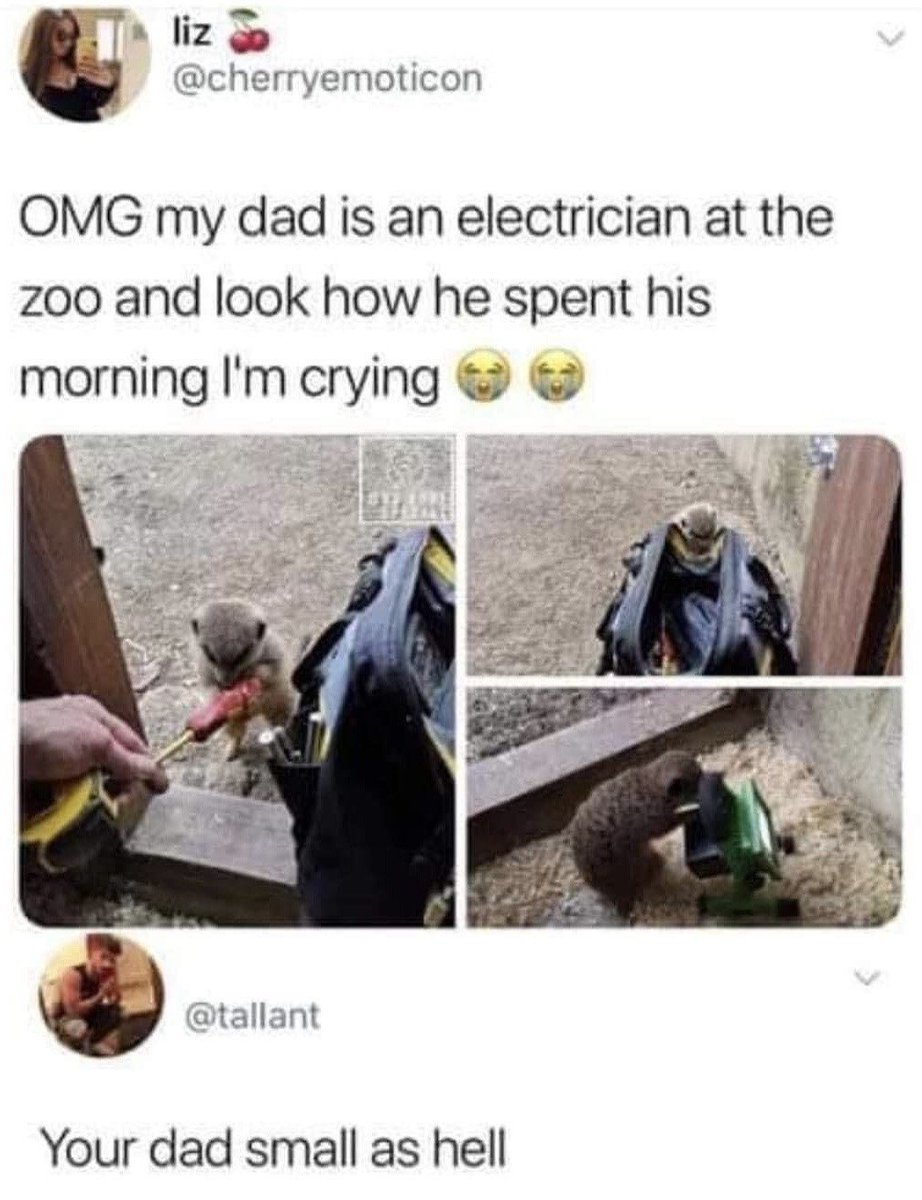 meme.jpg (@meme__jpg) / Posts / X