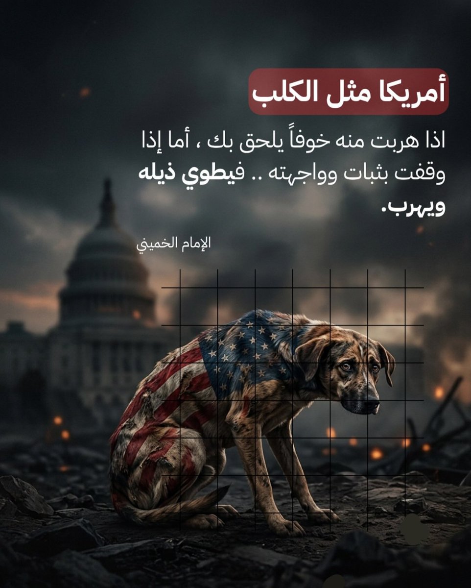 MARAL42126's tweet photo. ( الامام الخمینی ) 
أمر!يكا مثل الكلب 
اذا هربت منه خوفاً يلحق بك، 
أما اذا وقفت بثبات و واجهته 
فيطوي ذيله و يهرب.... https://t.co/qzkOXDztMy