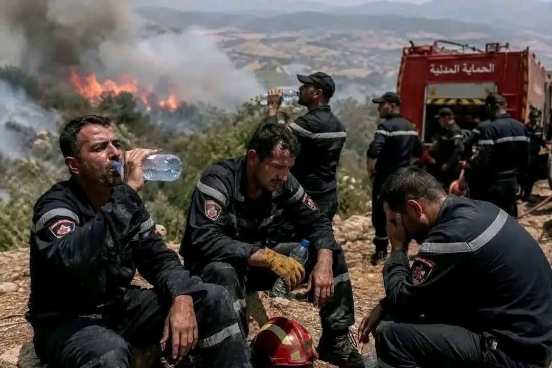 AlArabiya_NAF's tweet photo. لا تختزل هذه الصور لحظة استراحة، بل توثق حجم الجهد الذي يبذله رجال الحماية المدنية بمدينة عنابة الجزائرية في مواجهة حرائق الغابات. فبعد ساعات طويلة من العمل المتواصل تحت درجات حرارة مرتفعة، وبين ألسنة اللهب والدخان، استسلمت الأجساد للإرهاق، فيما ظل الواجب حاضرًا حتى اللحظة الأخيرة.