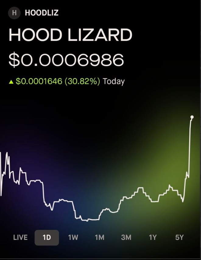 HOODLIZ_RH's tweet photo. HOODLIZ has officially been listed on the robinhood wallet https://t.co/zVkFuoxZtb