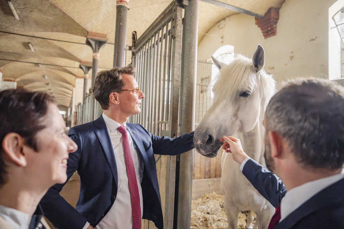 landnrw's tweet photo. Die Welt zu Gast in Warendorf: Auf dem Nordrhein-Westfälischen Landgestüt hat MP @HendrikWuest das Konsularische Korps empfangen. Rund 100 ausländische Staaten sind in #NRW konsularisch vertreten. Das Gestüt ist 200 Jahre alt &amp; eines der größten staatlichen in Europa. https://t.co/zUIbg6eJ76