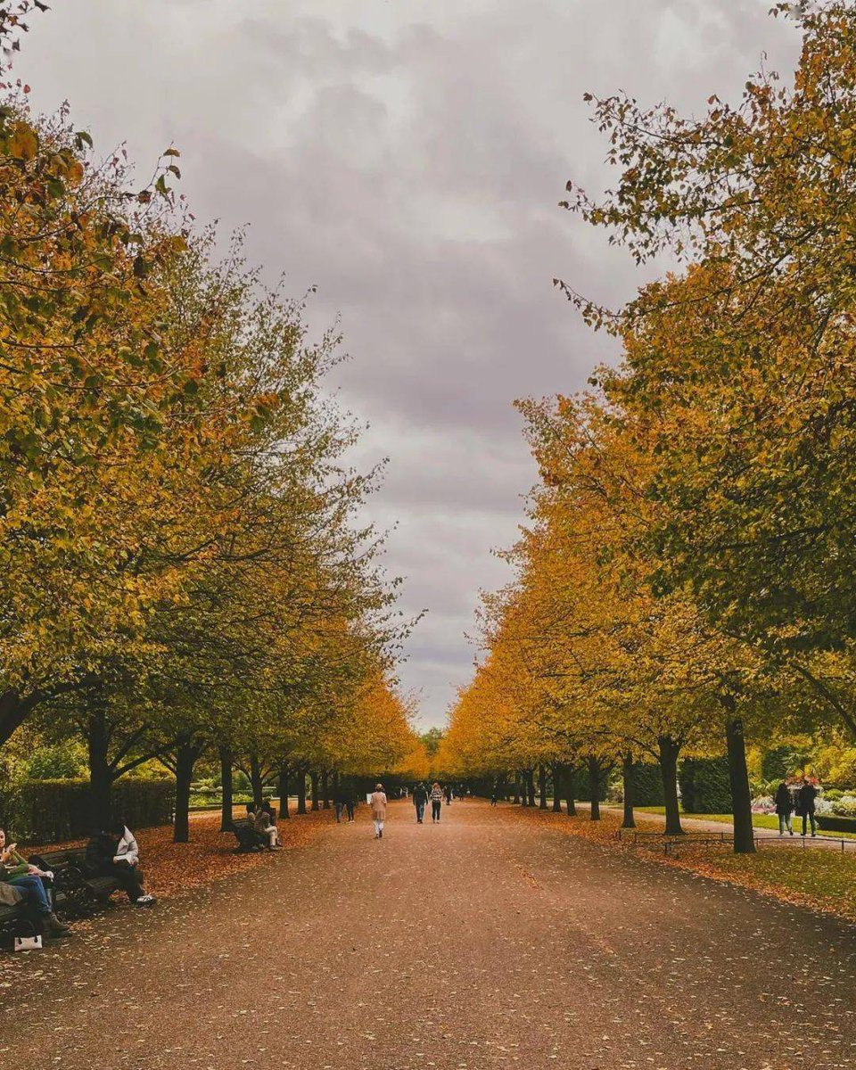 qwesl08's tweet photo. Sunny autumn afternoon with crisp air, golden leaves crunching underfoot—perfect for a park walk and a warm cup of latte. https://t.co/QxWwLU1kOC