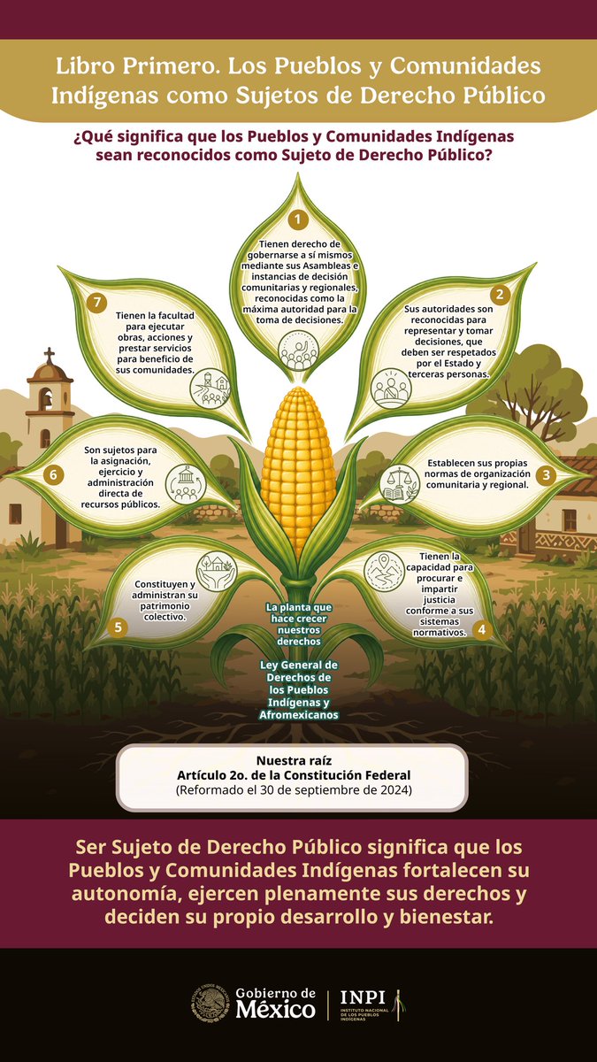 INPImx's tweet photo. El reconocimiento de los Pueblos y Comunidades Indígenas como Sujetos de Derecho Público fortalece su autonomía, el ejercicio pleno de sus derechos y su capacidad para decidir sobre su propio desarrollo y bienestar.

Conoce la infografía del 𝗟𝗶𝗯𝗿𝗼 𝗣𝗿𝗶𝗺𝗲𝗿𝗼 de la Propuesta de Iniciativa de Ley General de Derechos de los Pueblos Indígenas y Afromexicanos, un material diseñado para explicar de forma sencilla y visual los principales contenidos de esta iniciativa durante el proceso de consulta. 🌽 

📖 Conoce la propuesta completa en: https://t.co/l6UUQiB1xY

#ConsultaLeyIndígena