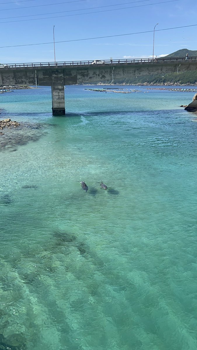 binichan30's tweet photo. 日本でこの景色がみれるって最高に幸せだよね https://t.co/7pJUC6vGbK