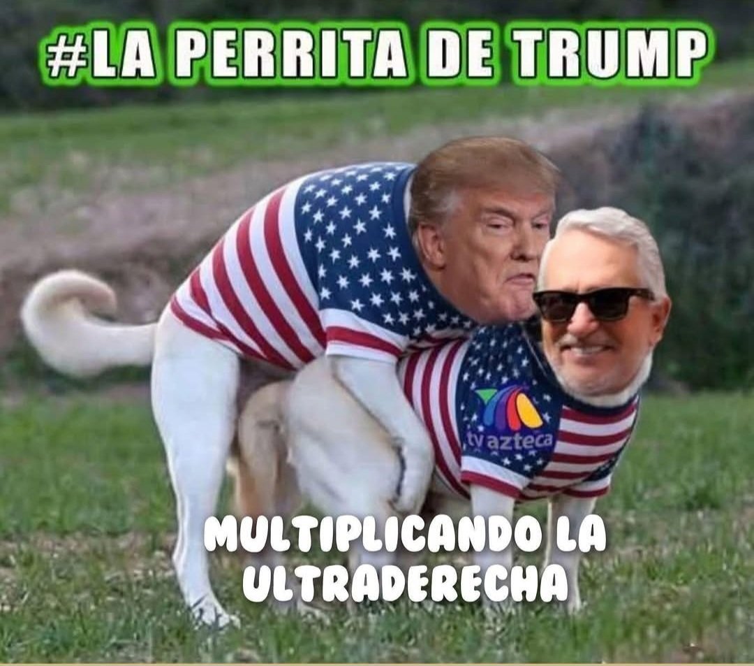 Israeluwp's tweet photo. @RicardoBSalinas @JesusRCuevas 🚨⚠️🚨 te a completo:
1. Traición a la patria MARU y LILI 
2. HUACHICOL de RUFO
3. Que sigas siendo LA PERA DE TRUMP 
4. El enemigo lo tienes en casa Pedro Sola
5. Ya no tienes jueces a modo para evadir impuestos 
6. Estás en brama y te estás reproduciendo con el TRUMP
Así o mas https://t.co/tM0KvjSBWP