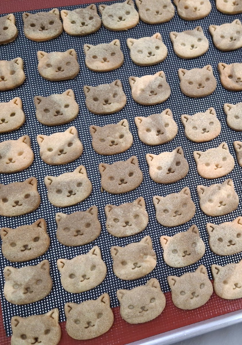 me_SAMATEA's tweet photo. 🍰🐱 เมนูต่อไปจะทำเค้กกล้วยโฮจิฉะครีมชีสฟรอสติ้งล่ะ เฉลยที่นี่ที่แรกเพราะแทบไม่มีใครเห็นโพสอยู่แล้ว 😆

อันนี้ทำคุกกี้เนยรสโฮจิฉะเอาไว้แต่งบนครีมชีสเพื่อความคิ้วและอร่อยกรุบ ๆ ฮะ
#สมาธิคาเฟ่ https://t.co/MrcQv0cY4n