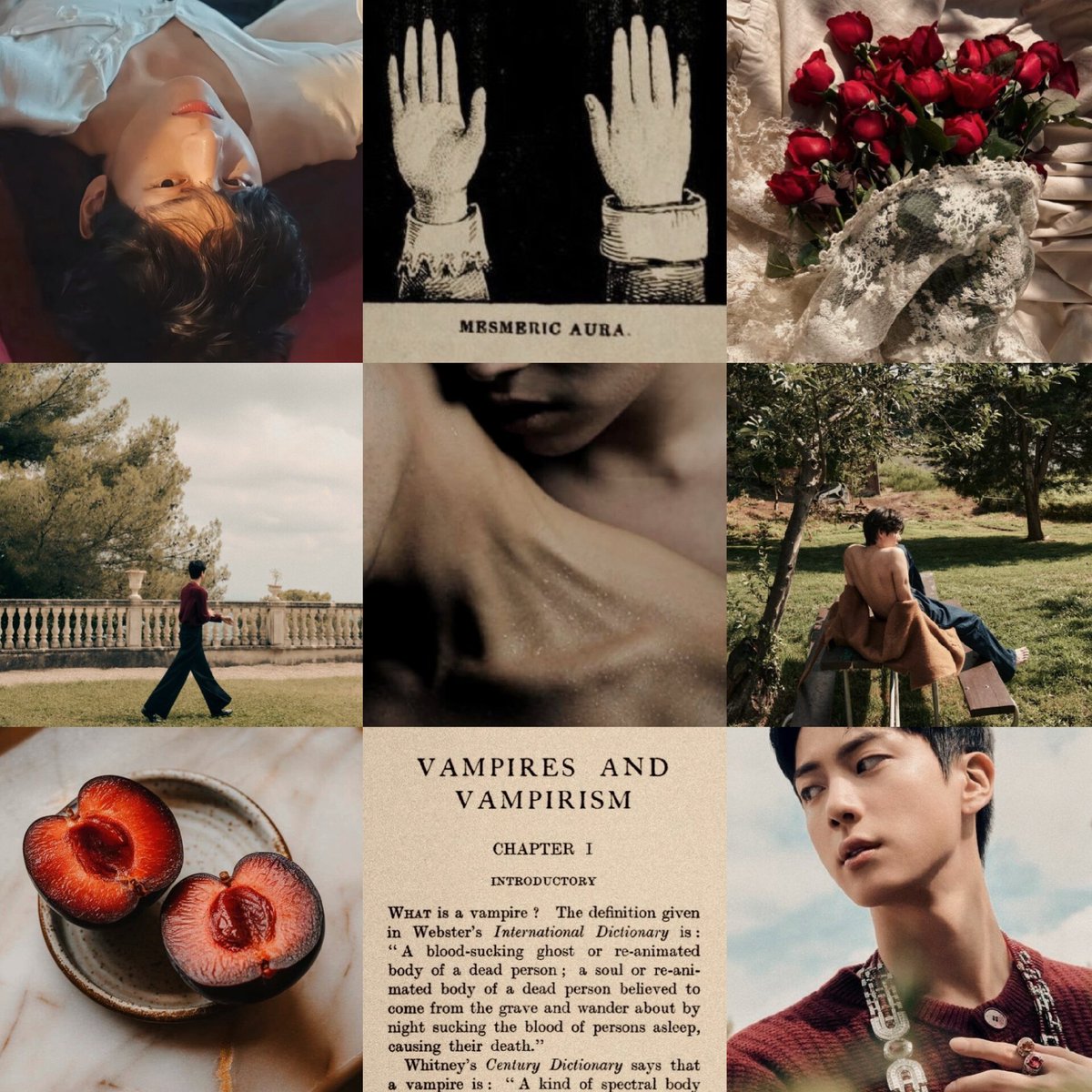 cherries7777's tweet photo. Seokjin is feeding the vampire agenda so well, so I wanna make this shameless promo to my vampire Seokjin fics 🧛‍♂️ if you feel like reading something with a deep red taste, I have these to offer 🍷🌹✨️
(links ⬇️) https://t.co/cyXr4WLVLz
