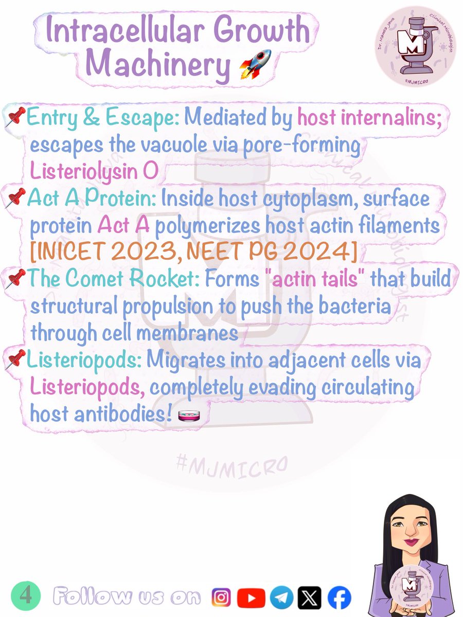 MJ_MICRO's tweet photo. Vignette Wednesday β
π§Ώ (Slides 5 & 6 in comments)
#MamtaJawa #MJMICRO #MedTwitter #MedX #MedTwt #microbiology #microtwitter #neetpg #inicet #usmle #mbbs https://t.co/h1mdRJO49C