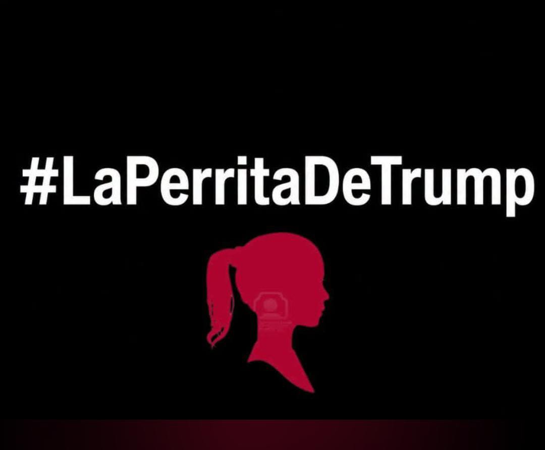GianKabo's tweet photo. @jgnaredo @Claudiashein @RicardoBSalinas @Azteca https://t.co/mSkRng3oN8