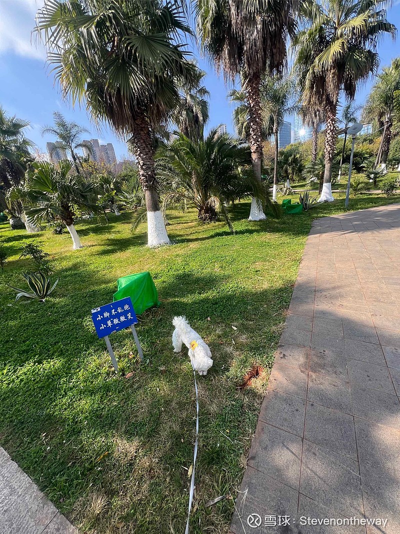 MrRadiCarl's tweet photo. [Join our community clean-up this Saturday 9am at Central Park! Bring gloves u0026 friends—together we’ll make our neighborhood shine!]， https://t.co/rk4NyUit7H