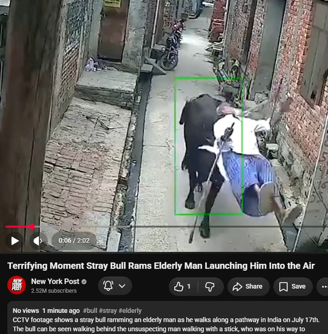 essencpnl's tweet photo. Remember the Charging Bison that ran?

Now NYP posted a Bull launching a man in the air. Shit gonna go viral AF too.  

Look:https://t.co/IWsHXrj9be https://t.co/shLWN7AlL1