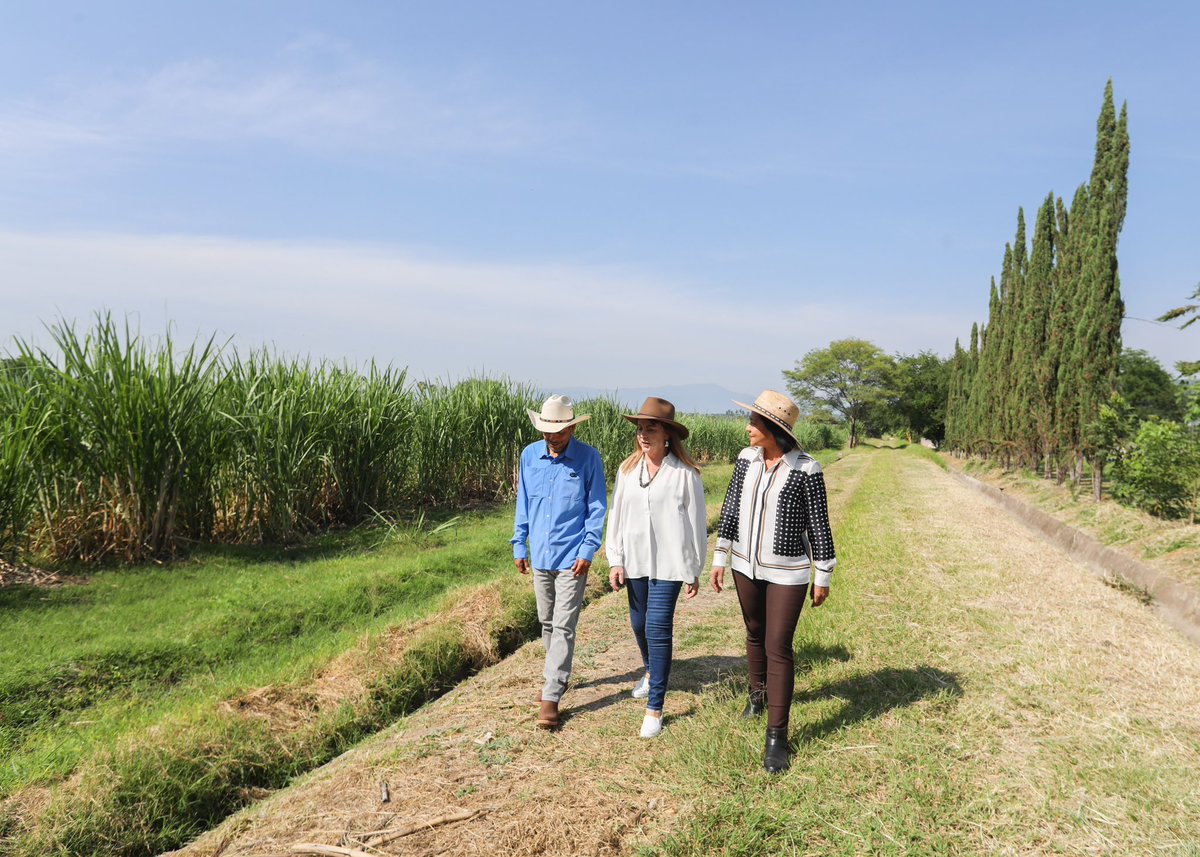 margarita_gs's tweet photo. ¡El campo morelense también se fortalece con innovación!

Presentamos SIG-Tlakuali, una plataforma gratuita con información de los 36 municipios de Morelos que permitirá a las y los productores cuidar mejor sus suelos, reducir costos y fortalecer la producción agrícola. https://t.co/7tq1zIXf5g
