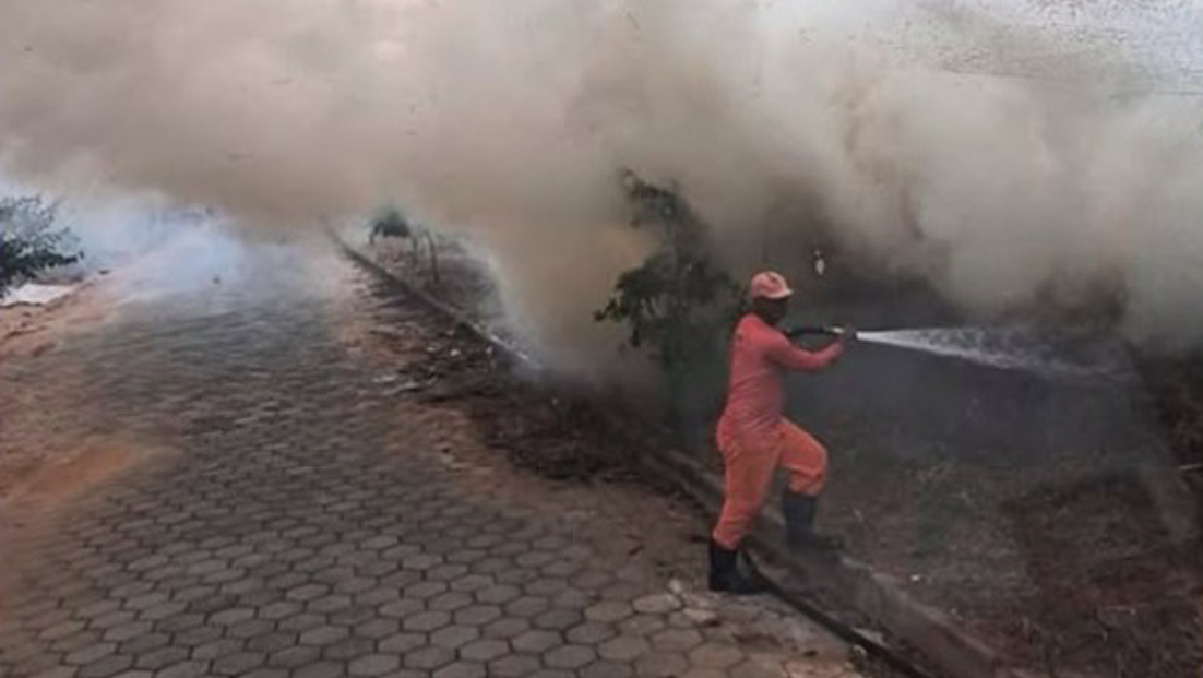 FOLHAPN's tweet photo. Balanço das ações da Semam e Semob entre 13 e 19/7 https://t.co/Ue2wzhIoWy via @Folha de Ponte Nova https://t.co/bPVejGQR2s