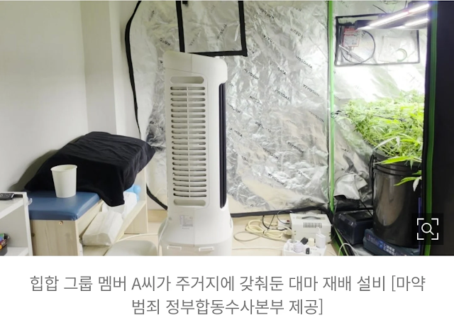 pannchoa's tweet photo. Member and songwriter of hip-hop group 'A' arrested for marijuana cultivation, caught with 11 other people during mass raid
https://t.co/2jkyXk38z1 https://t.co/FrjdQipZdc