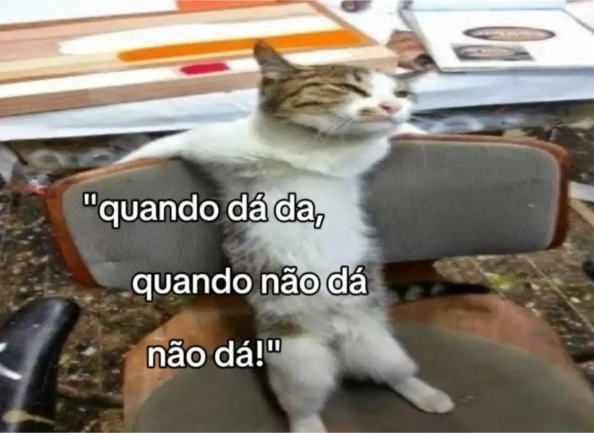shitpostverdade's tweet photo. https://t.co/uiTit1dddw