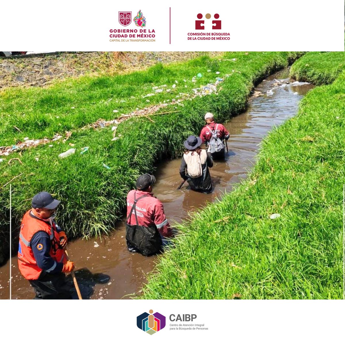 busqueda_cdmx's tweet photo. Sumamos esfuerzos para fortalecer estas acciones de búsqueda y avanzar de manera coordinada en la localización de personas.  #QueNadieNosFalte #LaBúsquedaContinúa 2/2 https://t.co/37bvhtXp9X