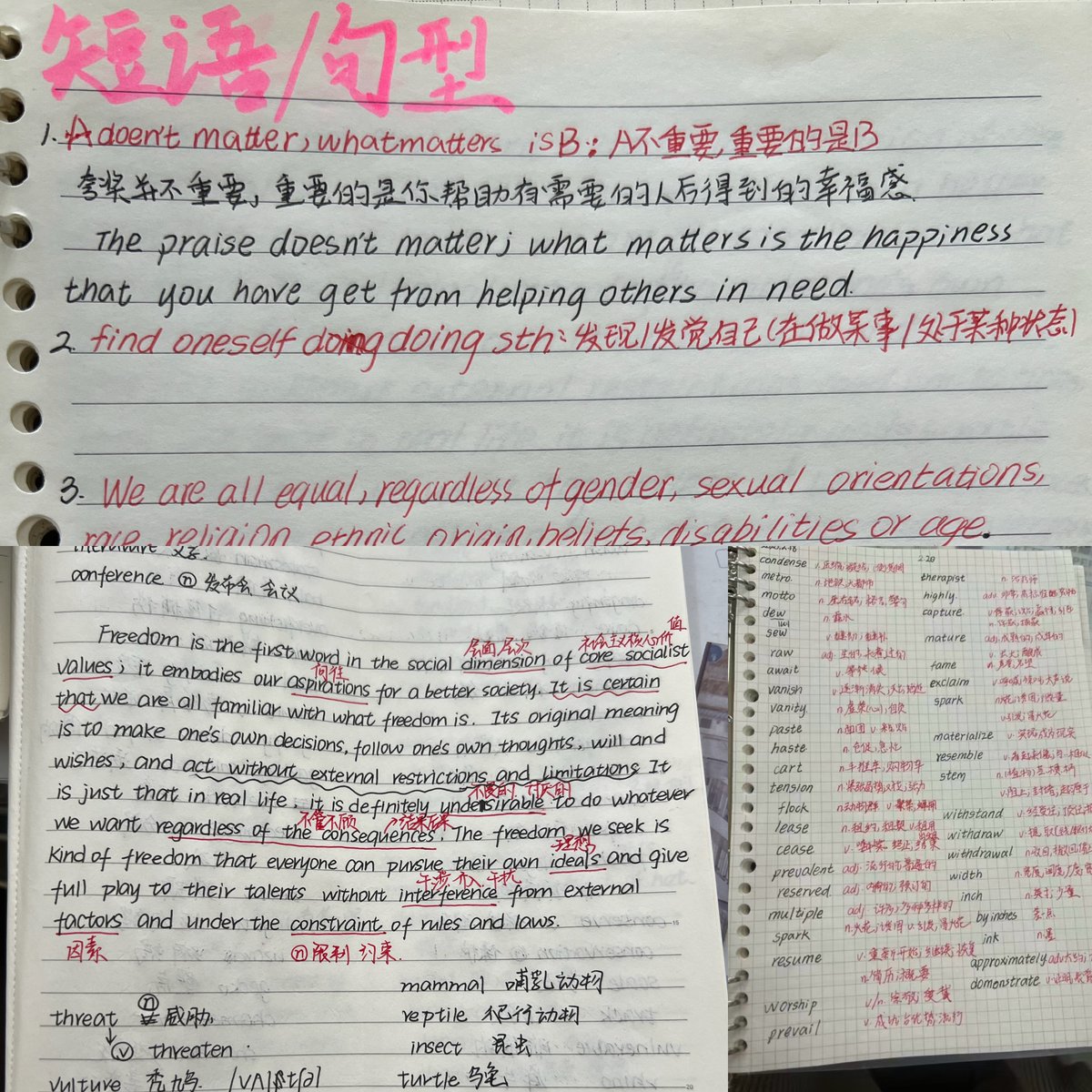 XxxFemme's tweet photo. Master 1 new English word daily, and you’ll build a solid vocabulary foundation in just one year. Start small, stay consistent—small steps lead to big progress! https://t.co/ZEKwUF35Rm