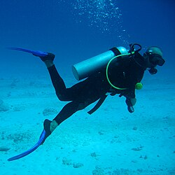 shrunga_m's tweet photo. Perfect morning for dive training in #IdahoCityScubaDiving! Crew nailed buoyancy control and navigation skills with #ABCFishingChatters. Come join us! #ScubaDivingLife

https://t.co/dgsAnN1UQQ https://t.co/U0UIMZJC4y