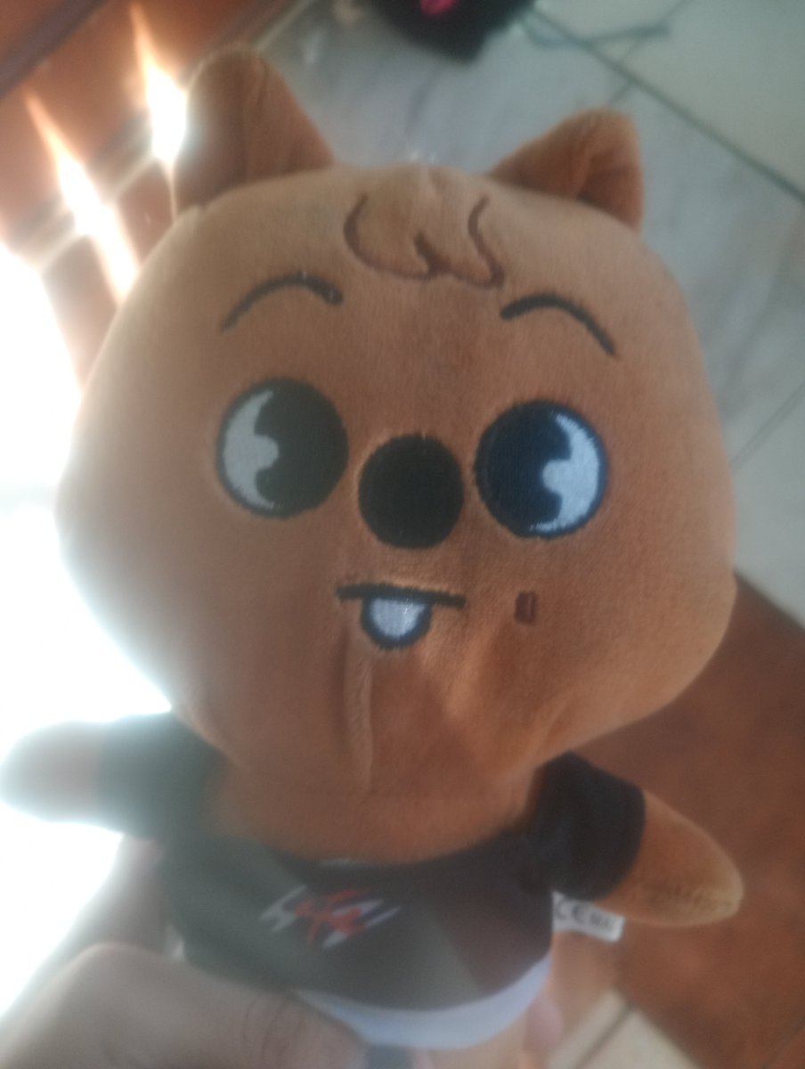 RyannaDaSilva1's tweet photo. Passando pra recomendar a Bia store (pq sim!!) pra quem quiser comprar pelúcia de kpop!! A lojinha é confiável, e o atendimento é ótimo! 
@Biastore_12 https://t.co/W8Og1kRCMm
