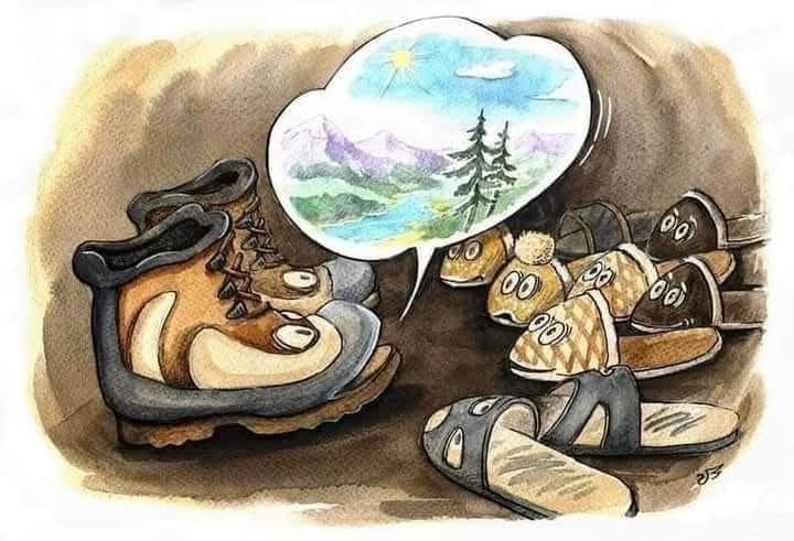 IrenaBuzarewicz's tweet photo. https://t.co/6BTHZHJHQj