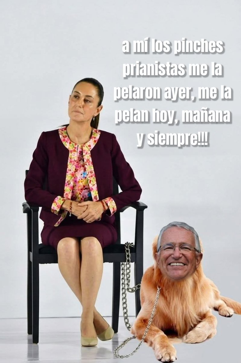JossekCopka's tweet photo. @RicardoBSalinas lo MIERDA de pendejo que eres nunca va a cambiar pinche resentido corrupto mentiroso y propagandista mierdero,no el balde eres y serás siempre la perra de trump https://t.co/MDCdbkd50b