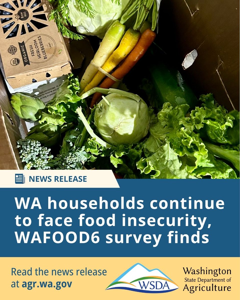 WSDAgov's tweet photo. RELEASE: WAFOOD6 survey reveals how strained food budgets are impacting Washington households. This study was conducted by University of Washington and Washington State University, with support from WSDA.

Read more: https://t.co/4LXrB1huK6 https://t.co/G6ydlFH22Y