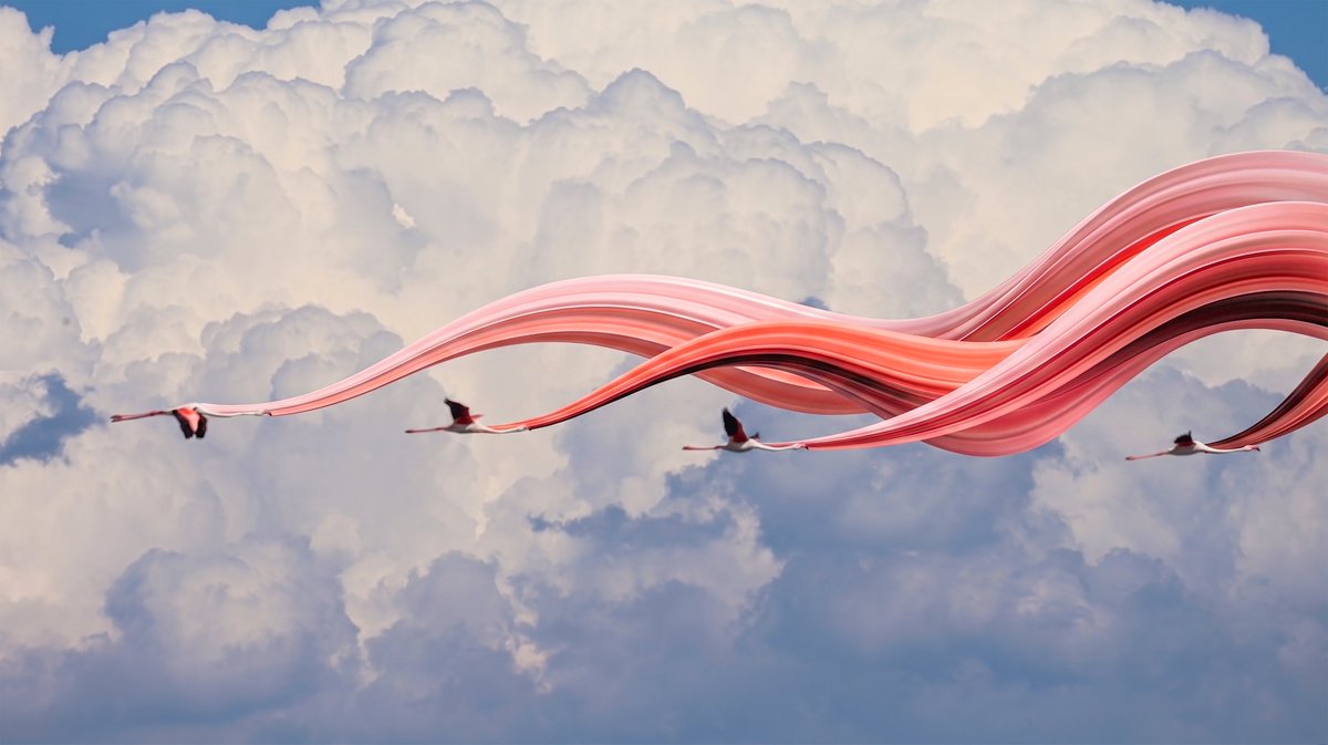 faraz_xyz's tweet photo. 🦩 NEW DROP — Rising #598 🦩

A new chapter joins the Rising collection.

Flamingos crossing endless clouds, transformed into flowing ribbons of color—where photography meets imagination.

✨ Rising #598
1/1 • 15 XTZ
🔗 https://t.co/5DsylQYivd

Every Rising begins with a real photograph and evolves into a unique visual journey. 💫