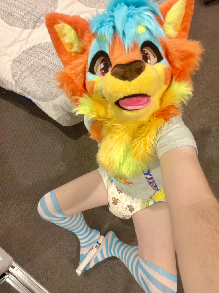 Radar the Pubbycat tweet media