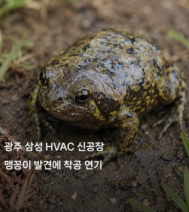 sh27021's tweet photo. <맹꽁이 지켜!!! ㅋㅋ>

캬~ 맹꽁이가!! 결국!!
위기의 삼성전자를 구하나??

서식지 너무 멀리 옮기거나..
너무 급하게 옮기면..
죽는다던데??

걍~ 거기 짓지 말자~
맹꽁이 살게 내비두자~

맹꽁!! 멸공!! 

ㅋㅋㅋㅋㅋㅋㅋㅋㅋㅋㅋㅋㅋ
ㅋㅋㅋㅋㅋㅋㅋㅋㅋㅋㅋ😆🤣