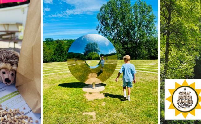 DevonTopDaysOut's tweet photo. Don’t miss the Great Hedgehog Hunt at Canonteign Falls this summer! Children can search for hidden hedgehogs dotted around the estate. Complete the trail and successful explorers will receive a prize at the end. Each trail is £2, on until 1 September. #canonteignfalls #visitdevon https://t.co/hgX3yGuLH8