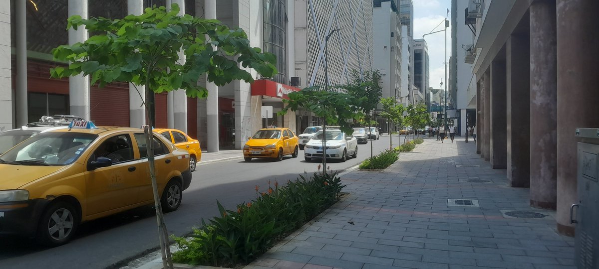 ObrasEnGYE's tweet photo. El centro de Guayaquil sigue transformándose. 

Finalizamos el primer tramo de la renovación integral de la calle Pichincha, entre 9 de Octubre y Aguirre, con aceras renovadas, iluminación LED, arborización y accesibilidad universal.

La nueva configuración de la vía conserva dos carriles para vehículos y prioriza un entorno más cómodo y seguro para quienes caminan, como parte de la planificación impulsada por el alcalde @aquilesalvarez y la alcaldesa (s), @taticoronelf

@alcaldiagye

 #AsíSeHaceGuayaquil #CiudadDeTodos #GuayaquilNoSeDetiene