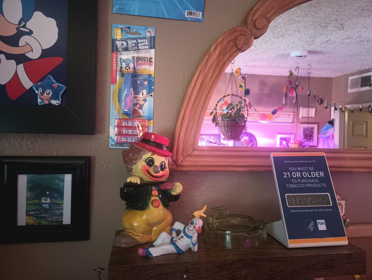 lemonwatered's tweet photo. new decor https://t.co/Su1XmXPJO7