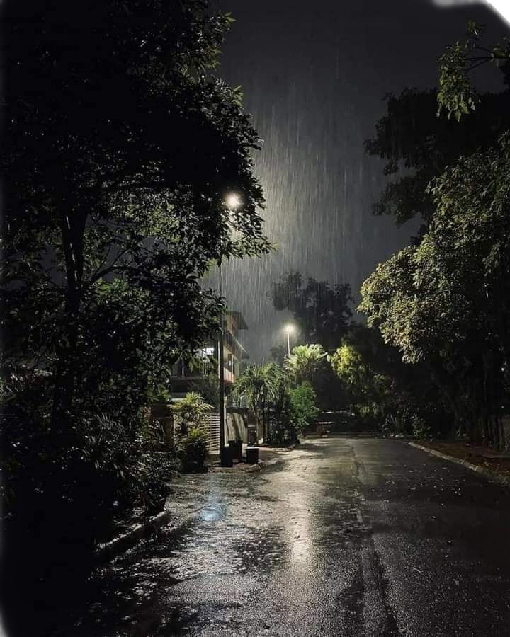 spooky_nature's tweet photo. how can anyone call this a "bad weather" https://t.co/Q1Mul7gg2H