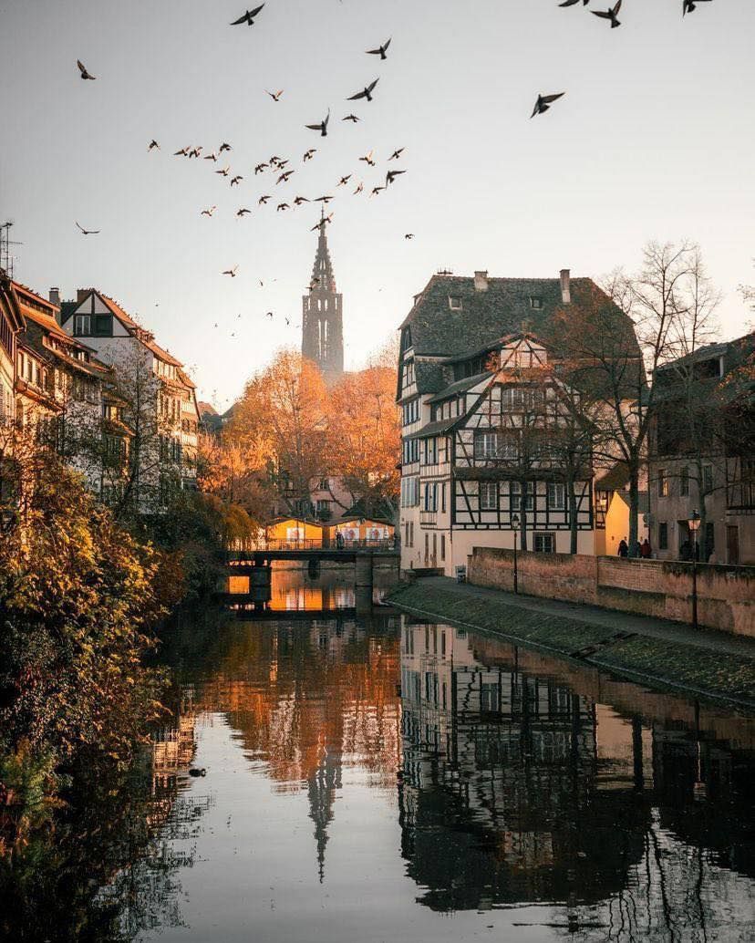 sorrymu7's tweet photo. 🌸🌸🌸おはよう🌞🍀🎎
     📍Strasbourg, France 🇫🇷 https://t.co/97cnYQ7FCQ