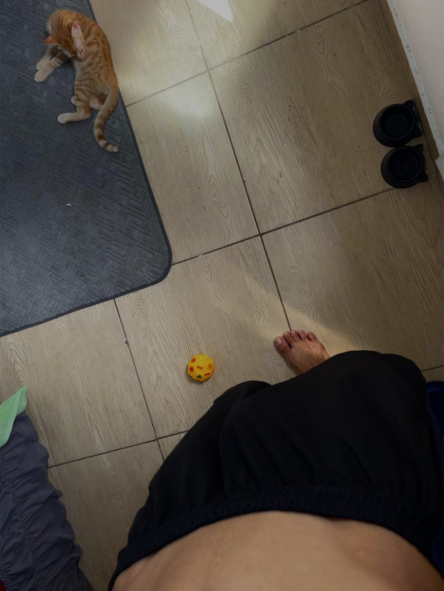 eaevitinz's tweet photo. Olha meu novo integrante da família deem oi para o Pollo meu filhote https://t.co/Yt2CSk1XrP