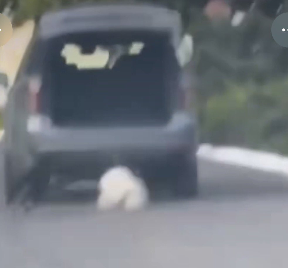 CarlosHidalgoo's tweet photo. 🚨 Murió Rocky tras cuatro días de agonía 🐶💔

El caso de maltrato animal que conmocionó a #Saltillo terminó en tragedia. Alejandro Gutiérrez, de la asociación Dignidad Animal, confirmó el fallecimiento de Rocky, el perro que fue brutalmente agredido en una colonia privada al norte de la ciudad.

Rocky no logró superar las graves lesiones que sufrió luego de ser presuntamente amarrado a una camioneta, arrastrado por varios metros y atropellado, hechos que quedaron registrados en videos que se viralizaron a nivel nacional.

La indignación ciudadana impulsó denuncias penales y la apertura de una investigación por parte de las autoridades. Como parte del proceso, Liliana “N” permanece en prisión preventiva mientras continúa el caso.

 #JusticiaParaRocky #MaltratoAnimal #Saltillo