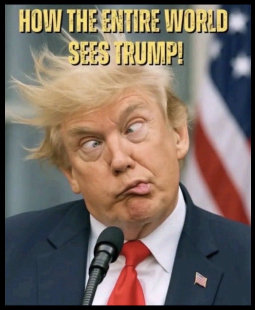 kangaroos991's tweet photo. OMG! Who made this? 🤣🤣🤣  Perhaps
his 'carers' just forgot his meds? 💊⛑️
Shakespeare once said, “The eyes are
the 'window' to your soul.” If true, what do you see in his 'beady' little eyes? 🤪 https://t.co/X91DCQYPAm