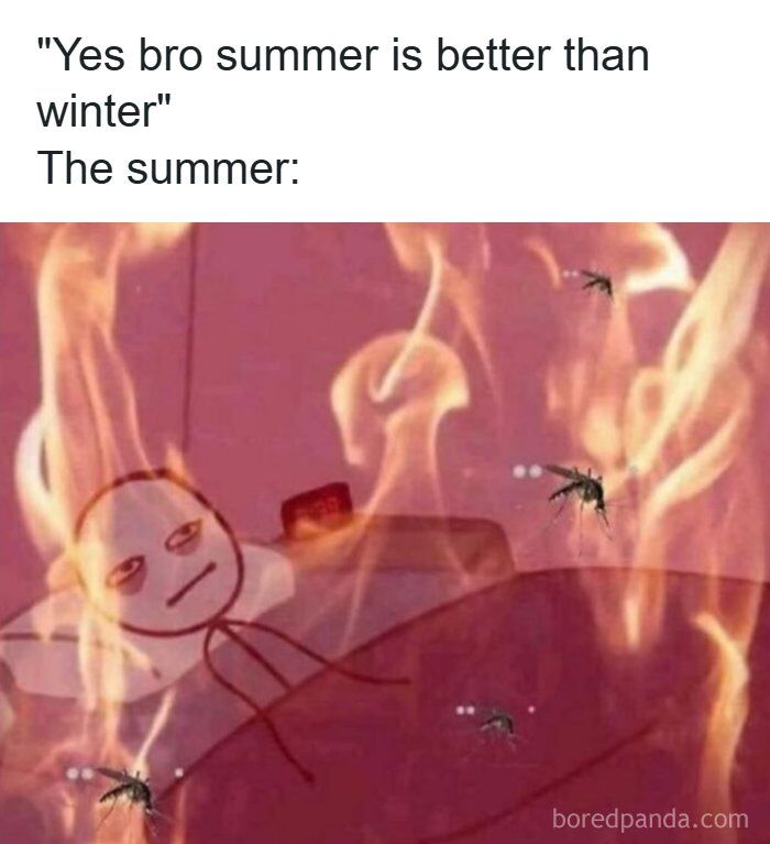 WholesomeMemes tweet media