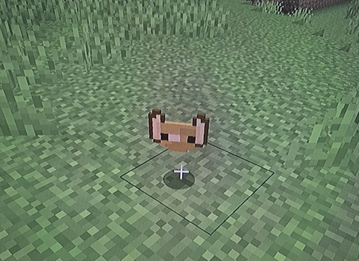 _GreyWaves's tweet photo. Estoy haciendo un mod para minecraft en el que puedas tener murcielagos de pet si le das una galleta de estas. https://t.co/PGUM7Qrd5d