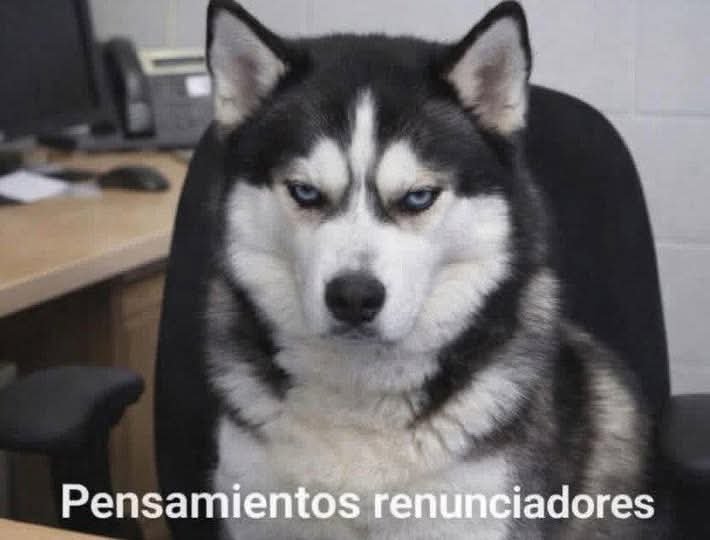 angelo_uf's tweet photo. *Me equivoco en el trabajo y me llaman la atención* https://t.co/zZlroKI9j8