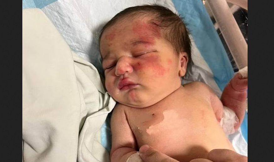 LifeNewsToo's tweet photo. Dog Saves Abandoned Baby Girl Who Was Thrown in the Trash https://t.co/domEoFgh8N https://t.co/cFUXppRw1s