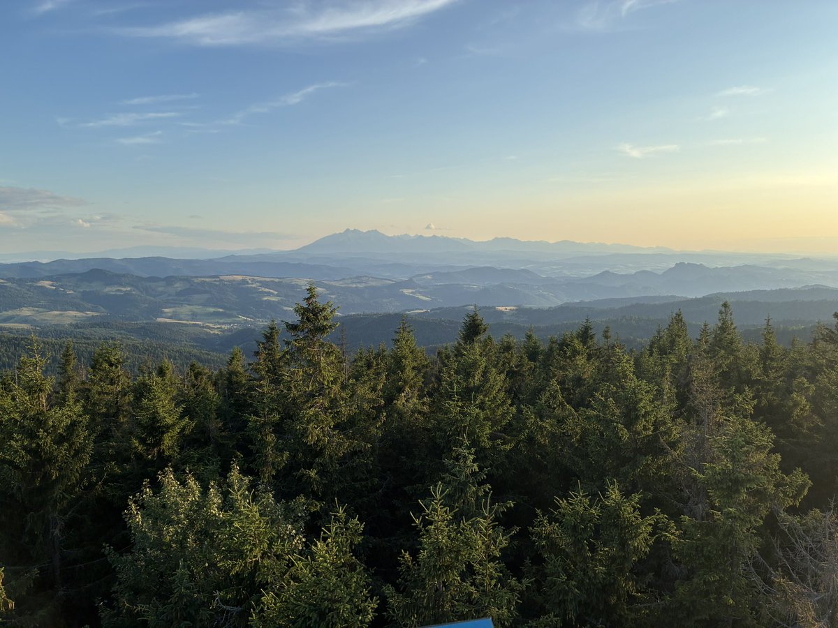 SadykPasza's tweet photo. Radziejowa dzisiaj, była naprawdę łaskawa z widokami… w tle Łomnica i Rysy… ok. 45km w lini prostej #Rytro https://t.co/jjoIbTBlju