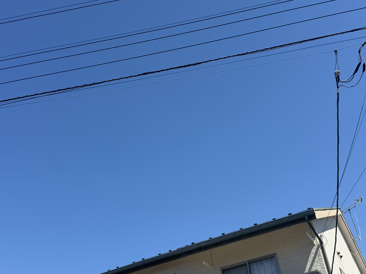 bagu_mellow's tweet photo. いい天気だね https://t.co/56s3CkoH01