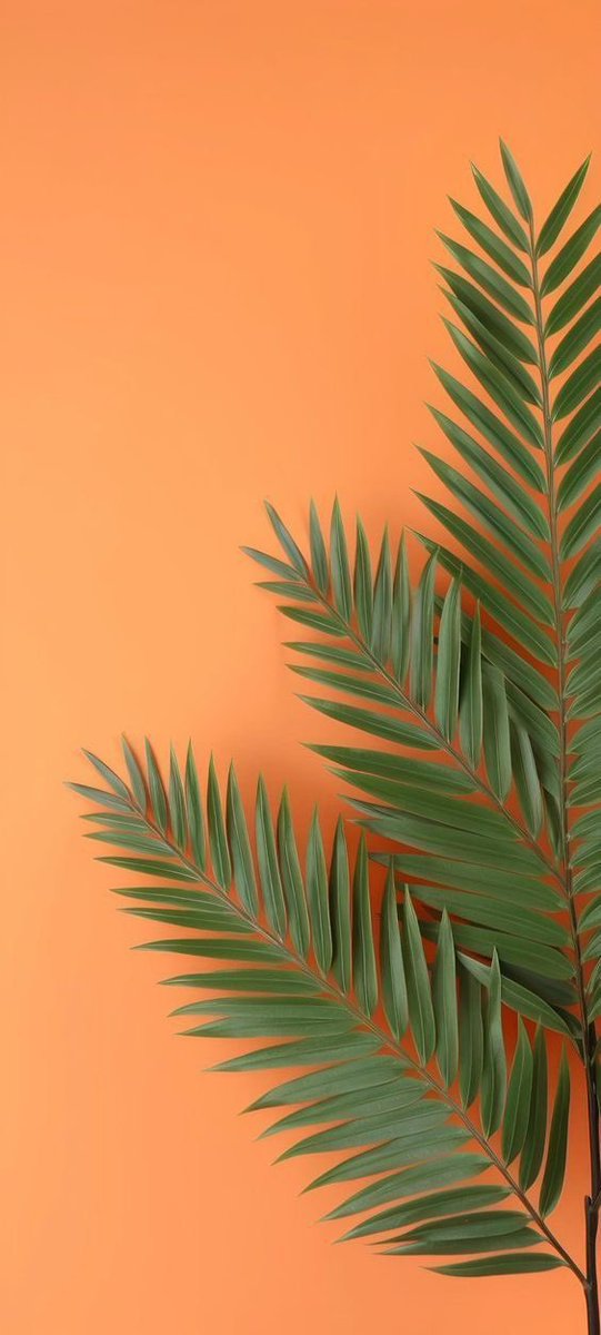 CASHWallpaper06's tweet photo. https://t.co/Ly45xHci0C