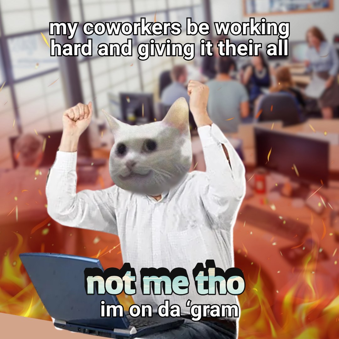 NobikoCTO's tweet photo. https://t.co/WRjqe0MsYQ