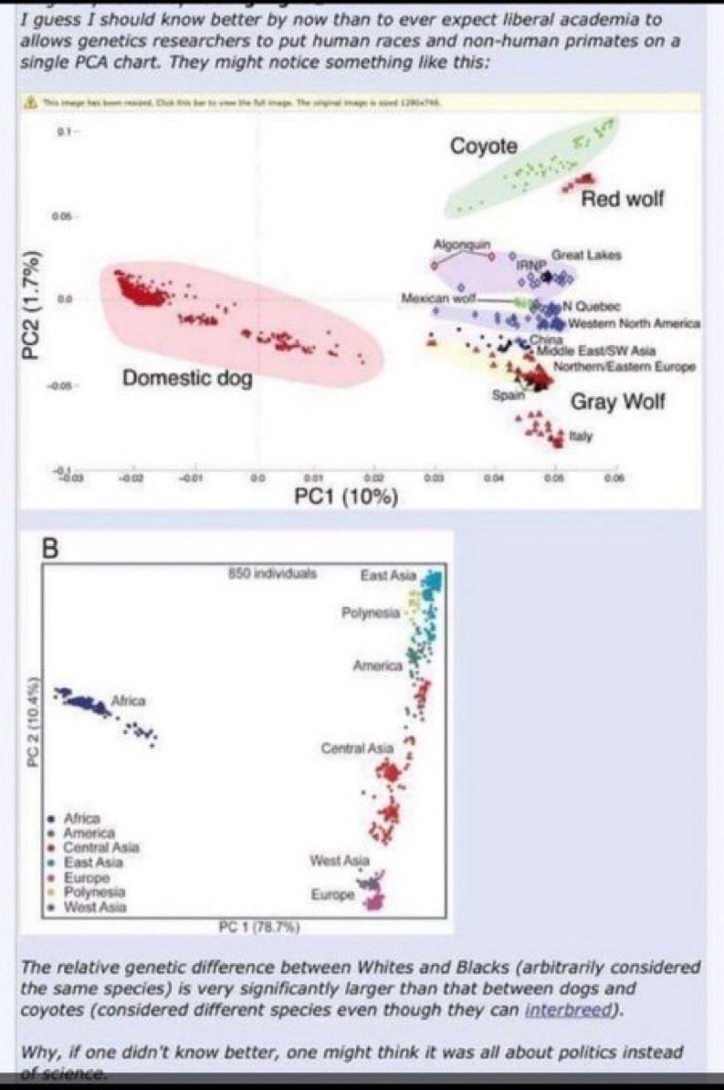 NSAWPLoyalist's tweet photo. @plottmasteram17 @FlagBlack007 Different species https://t.co/3hemvp8xGL