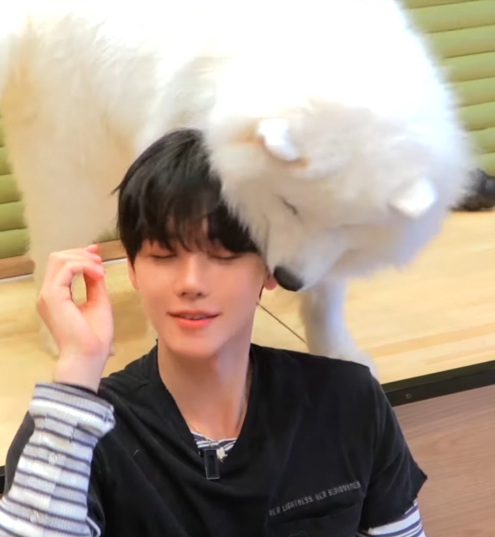 dojupiter13's tweet photo. ตื่นมารักหมุ🐖💨แบบที่ป่าป๊าร้าก😽 https://t.co/vvrGyd6Hwd