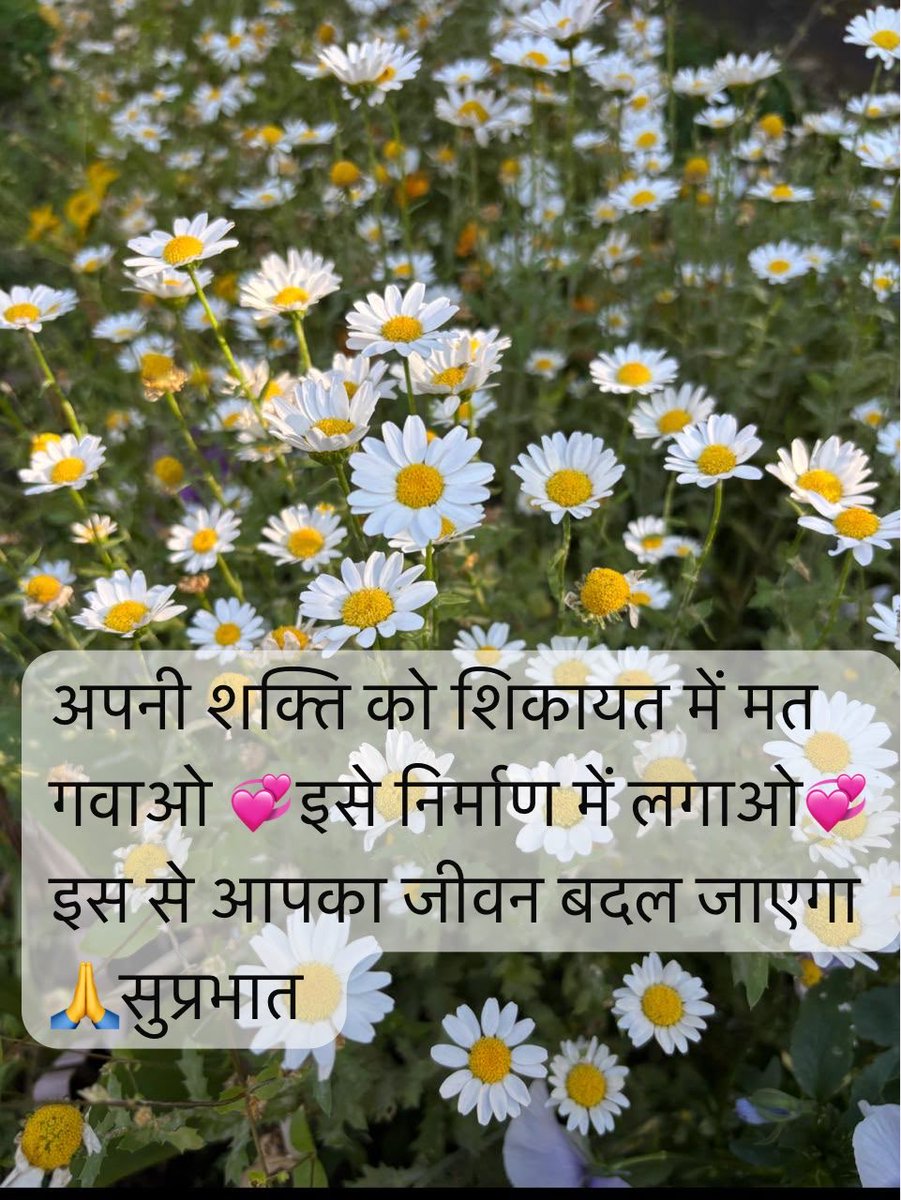 BasantP16167686's tweet photo. Good morning https://t.co/NbS47ZakAw